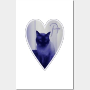 My lovely sentimental vintage Siamese Cat Posters and Art